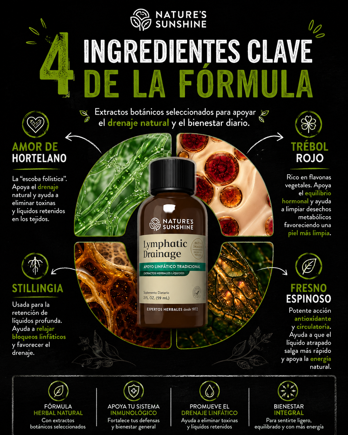 🌿 Nature’s Sunshine Drenaje Linfático Herbal Líquido