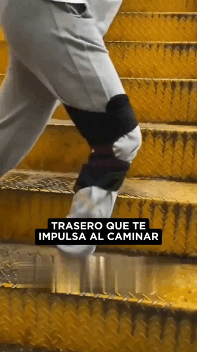 RODILLERA MOTION FLEX